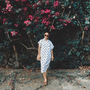 Meet your Posher, Zsa Zsa